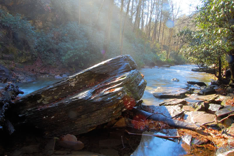ai4.photobucket.com_albums_y134_Dubkota_asheville_ash5.jpg