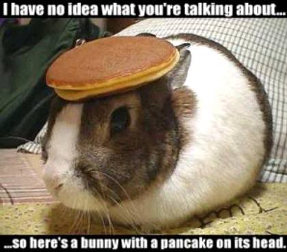 ai439.photobucket.com_albums_qq120_IconFIN_bunny_pancake.jpg