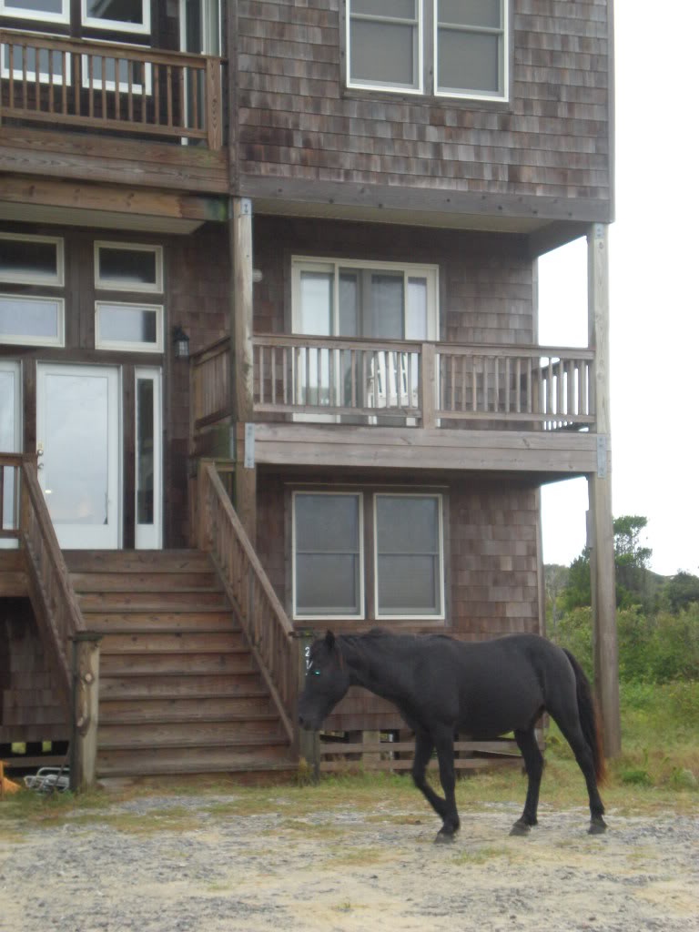 ai44.photobucket.com_albums_f43_GCncsuHD_honeymoon_DSCN4623.jpg