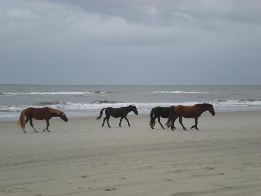 ai44.photobucket.com_albums_f43_GCncsuHD_honeymoon_DSCN4625.jpg