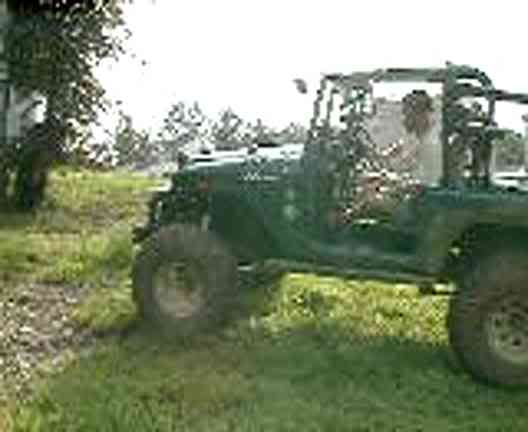 ai458.photobucket.com_albums_qq302_rquinlan3_buggy_pre_buggy_th_richtreeclimb.jpg