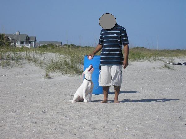 ai47.photobucket.com_albums_f175_efrancin_pit3.jpg