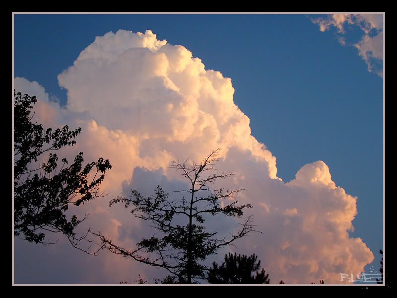ai5.photobucket.com_albums_y175_entrefal_New_20Camera_Storm1.jpg