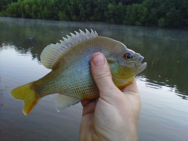 ai552.photobucket.com_albums_jj335_jrhxj1_SU1HMDAwMTMtMjAxMTA3MjktMDYzNi5qcGc.jpg