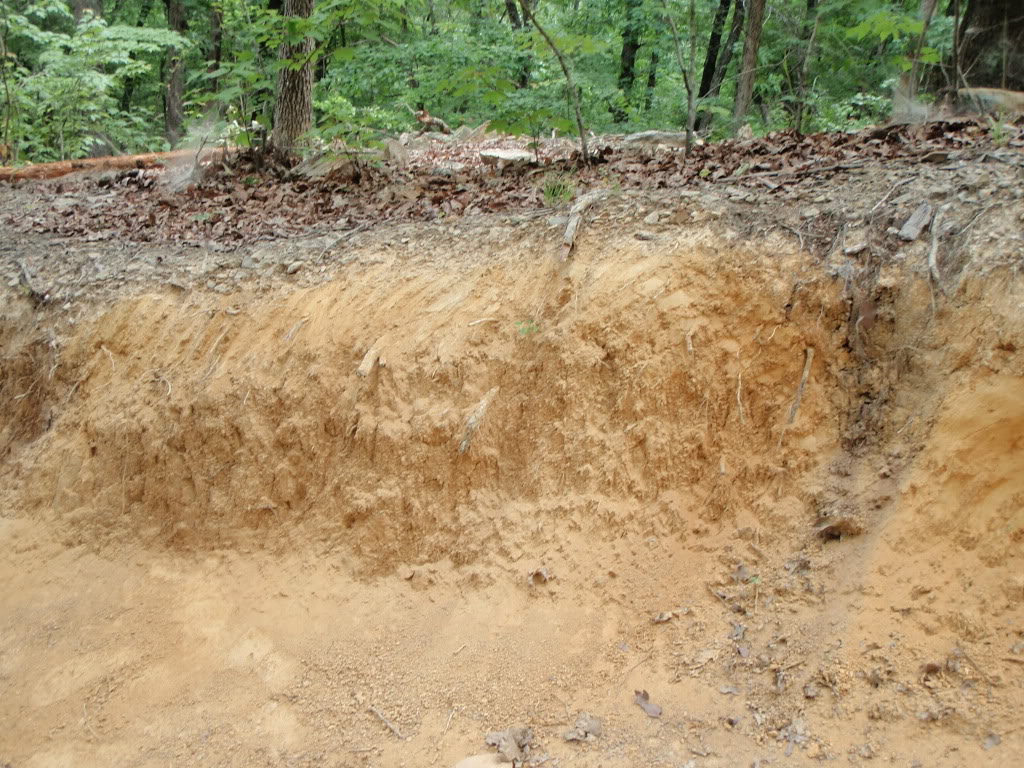 ai57.photobucket.com_albums_g218_seed60_URE_205_09_P5230141.jpg