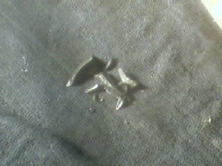 ai69.photobucket.com_albums_i78_jakemd98_Jeep_20Stuff_Photo_0053.jpg