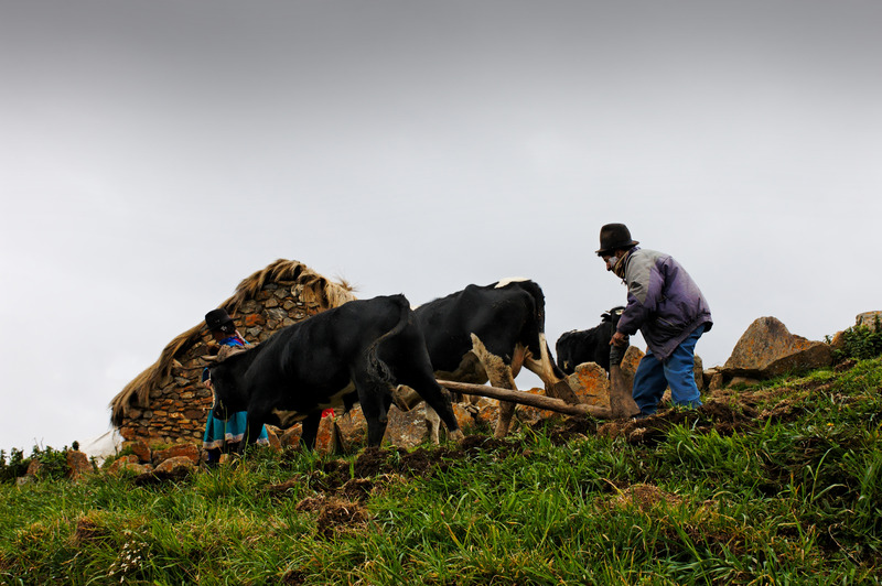 ai7.photobucket.com_albums_y252_ponykilr_Ecuador_People_20156.jpg