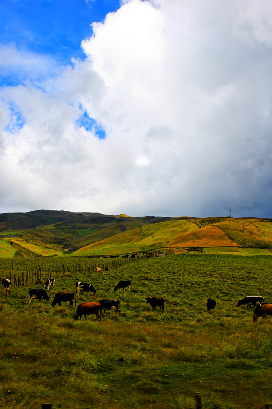 ai7.photobucket.com_albums_y252_ponykilr_Ecuador_The_20Land_2032.jpg