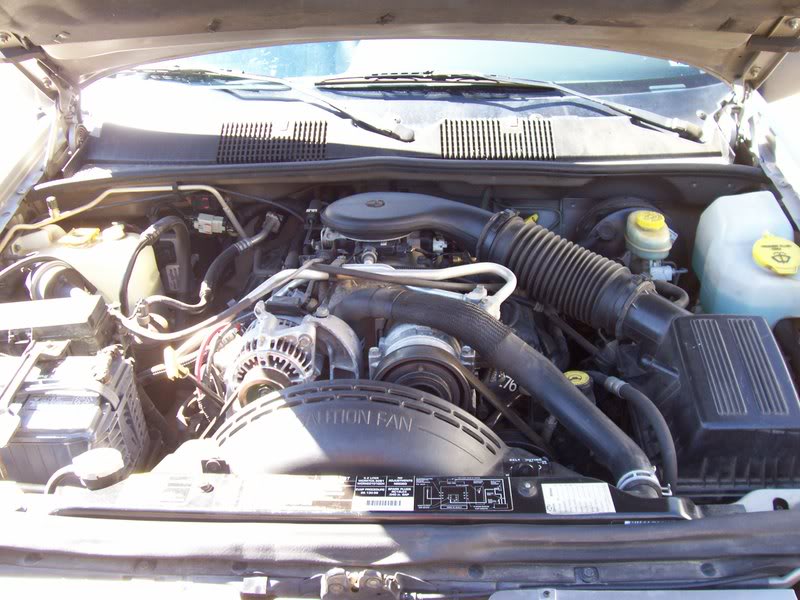 ai71.photobucket.com_albums_i134_icepritchard_100_1217.jpg