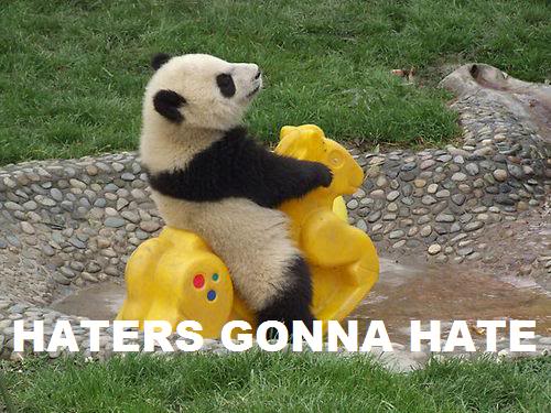 ai71.photobucket.com_albums_i134_icepritchard_haters_gonna_hate_panda.jpg