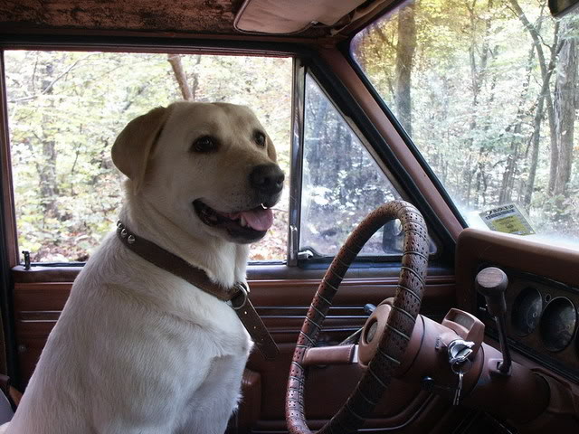 ai73.photobucket.com_albums_i201_jwillettgn_FSJ_ChyDriving.jpg