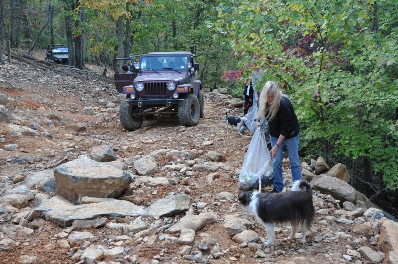 ai74.photobucket.com_albums_i267_lquon_Hallowharrie_202011_DSC_0704.jpg