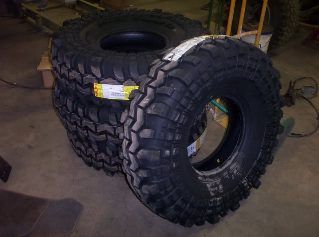 ai74.photobucket.com_albums_i269_neptco19_Gold_20Build_100_1629.jpg