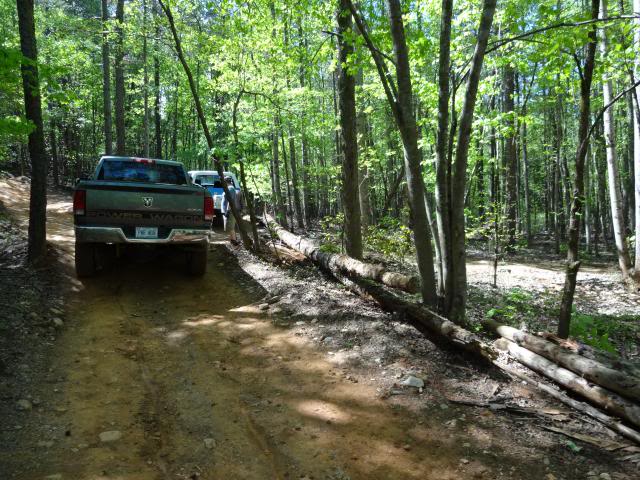 ai8.photobucket.com_albums_a22_trx450always_DSC00250_zpsf222075d.jpg