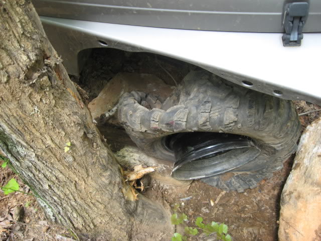 ai83.photobucket.com_albums_j309_GraySquirrel_TheFarm_032.jpg