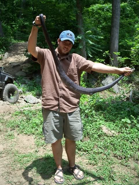 ai85.photobucket.com_albums_k51_hadfield4wd_Crozet_20June_2007_Snake2.jpg