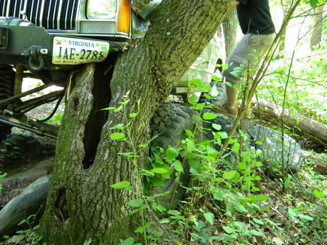 ai85.photobucket.com_albums_k51_hadfield4wd_Crozet_20MOR_20comp_206_27_09_DSCN0161.jpg