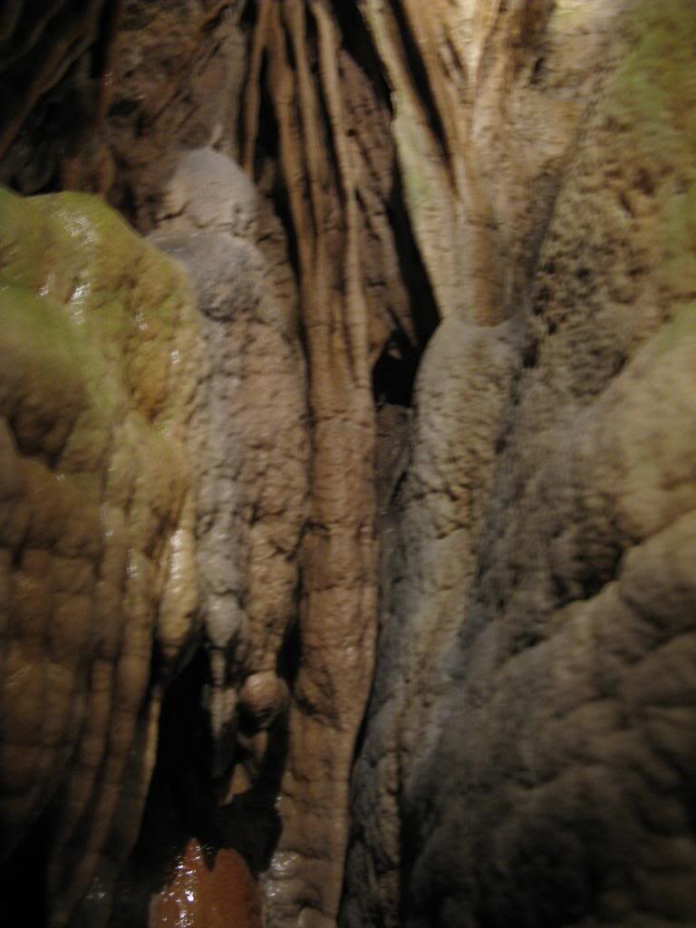 ai919.photobucket.com_albums_ad32_waltcj5stephanie_052.jpg