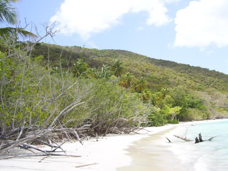 ai94.photobucket.com_albums_l116_HoodRichxXx_St_20John_20USVI__133.jpg