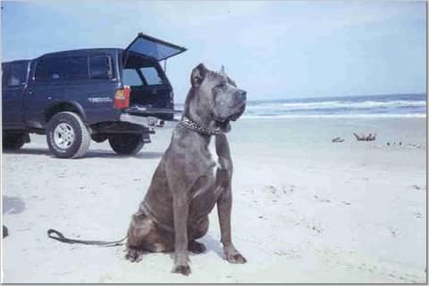 aim1_shutterfly_com_procserv_47b4dd30b3127cce9a2dc15af03100000016108BbNmbdu3aq_.jpg