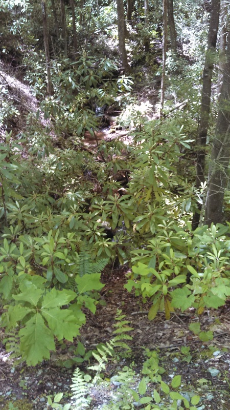 aimageshack.us_a_img22_3221_img20130525123324429.jpg