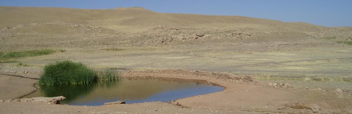 aimg.photobucket.com_albums_v106_nc_zuk_POND_BEST.jpg