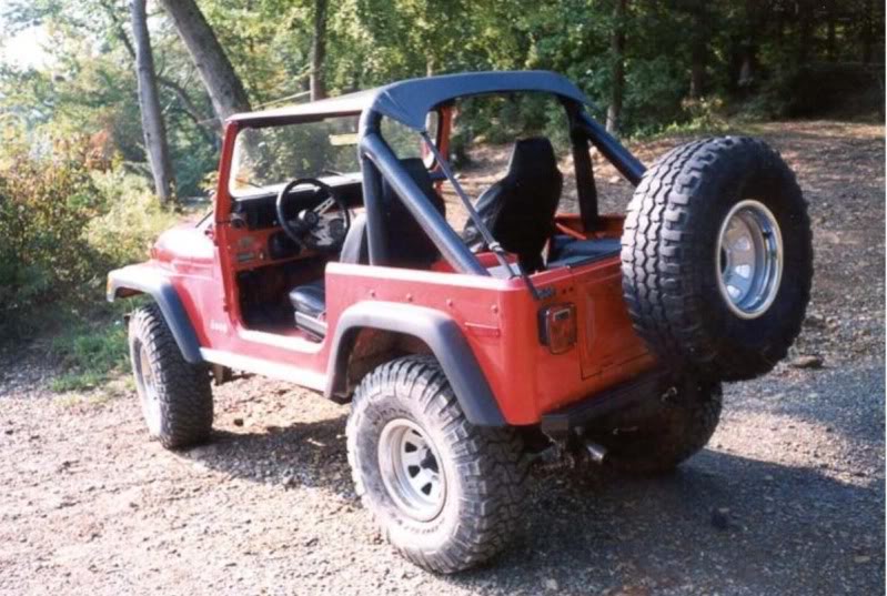 aimg.photobucket.com_albums_v214_nhodierne_78cj7.jpg