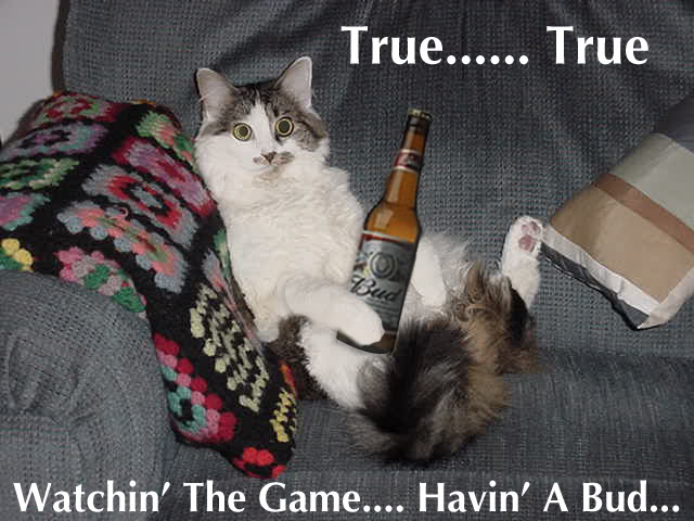 aimg.photobucket.com_albums_v214_nhodierne_BoosFunTime.jpg