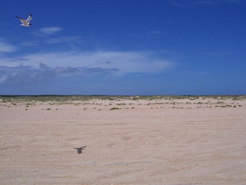 aimg.photobucket.com_albums_v248_thezentree_Hatteras6_05027resize.jpg