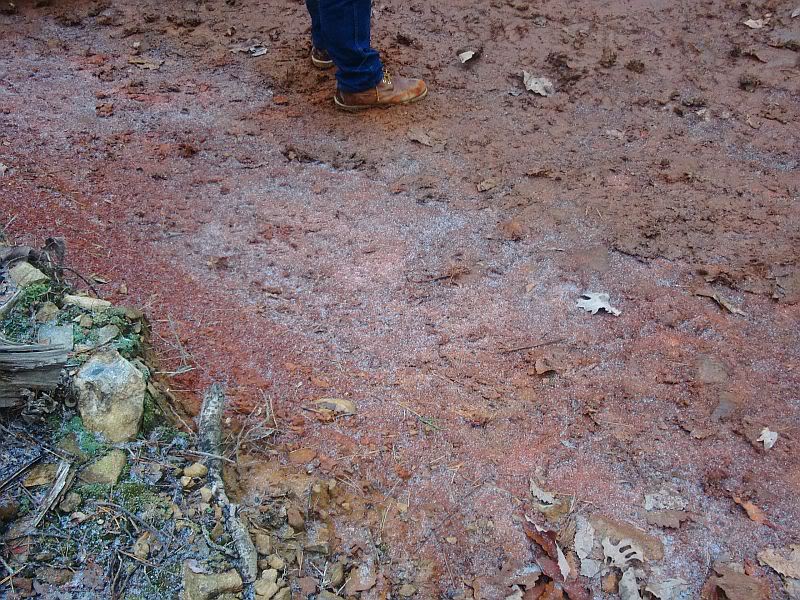 aimg.photobucket.com_albums_v426_GSRswapandslow_Uwharrie_20Work_20Day_2012_18_10_8c8806f3.jpg