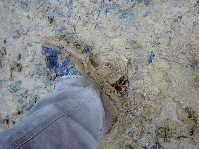 aimg.photobucket.com_albums_v426_GSRswapandslow_Uwharrie_20Work_20Day_2012_18_10_9a779cb2.jpg