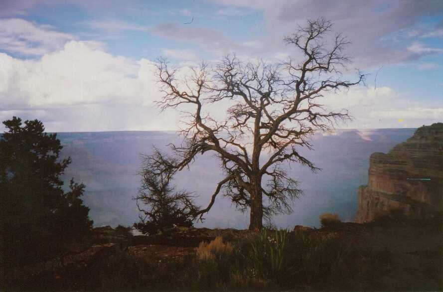 aimg489.imageshack.us_img489_3802_vgrandcanyonarizona7rj.jpg