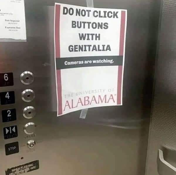 al.jpeg