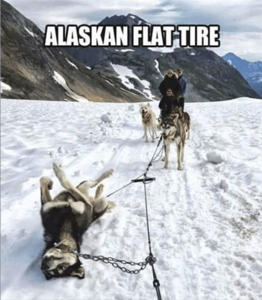 alaskan.png