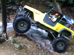 amemimage.cardomain.com_ride_images_2_3186_1401_20463200239_medium.jpg