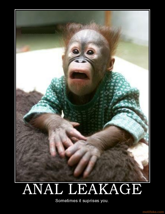 anal-leakage-monkey-demotivational-poster-1216536717.jpg