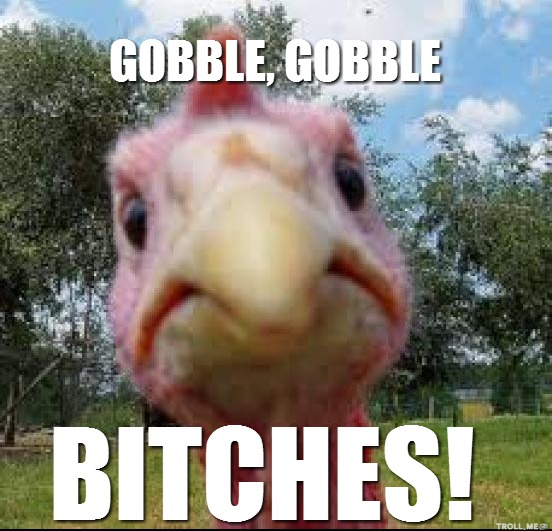 anamari.org_wp_content_uploads_2013_11_gobble_gobble_bitches.png