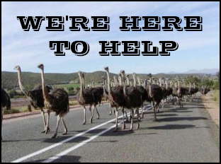 asteelturman.typepad.com_photos_uncategorized_ostriches_on_the_way_to_help_herd_flock_.png