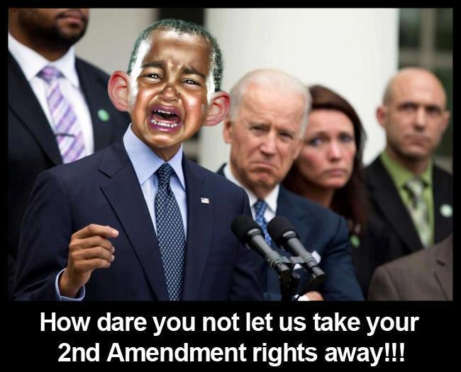 athelookingspoon.com_images_blog_2013_obama_crybaby_second_amendment.jpg