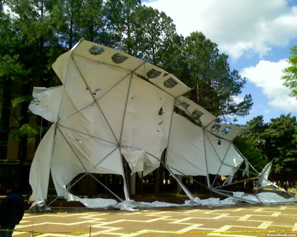 athewolfweb.com_photos_00478519.jpg