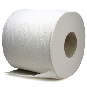 athewvsr.com_wp_content_uploads_2009_03_toiletpaper.jpg