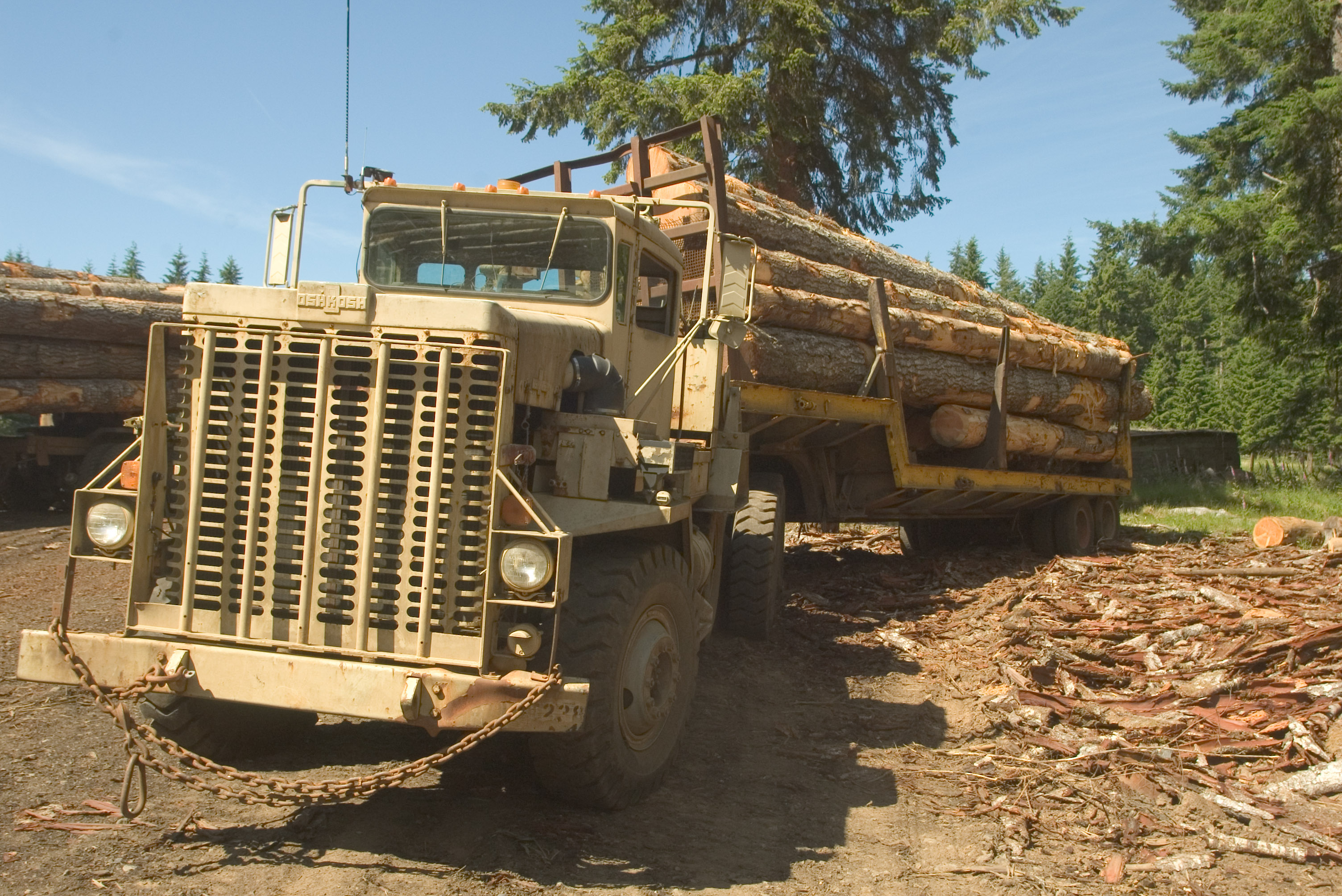 aupload.wikimedia.org_wikipedia_commons_4_4f_M911_U.S._Military_logging_truck.jpg