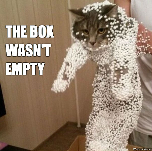 aweknowmemes.com_wp_content_uploads_2014_10_the_box_wasnt_empty_cat.jpg