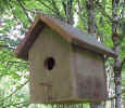 awww.choosefreedom.com_images_birdhouse_small1.jpg