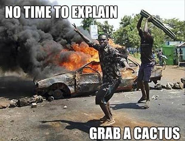 awww.dumpaday.com_wp_content_uploads_2013_01_no_time_to_explain_grab_a_cactus.jpg