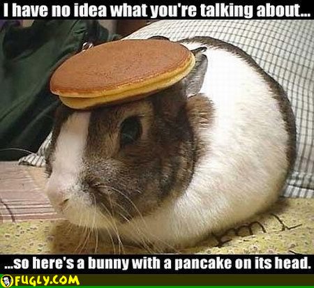 awww.fugly.com_media_IMAGES_Stupid_bunny_pancake.jpg