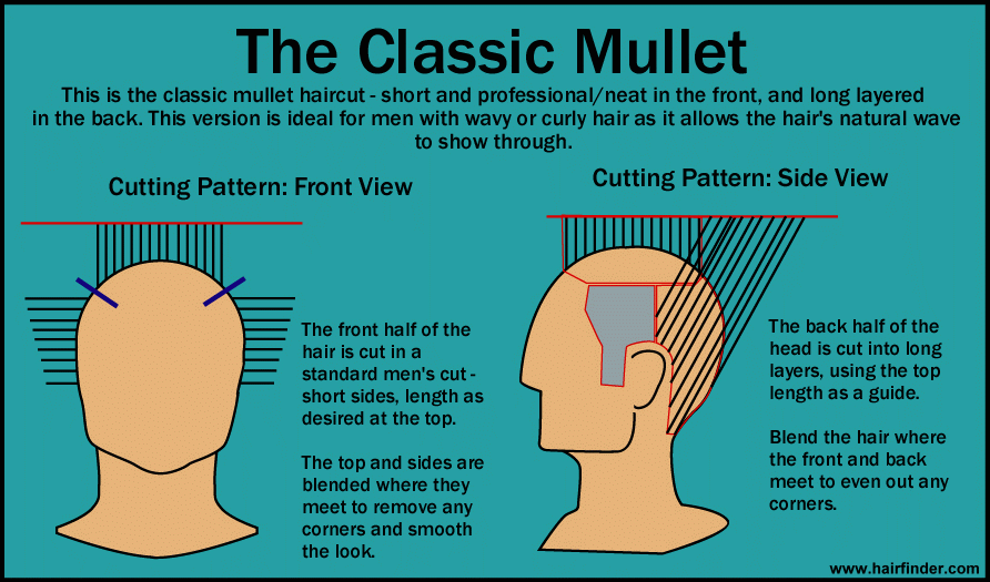 awww.hairfinder.com_info_mullet.gif