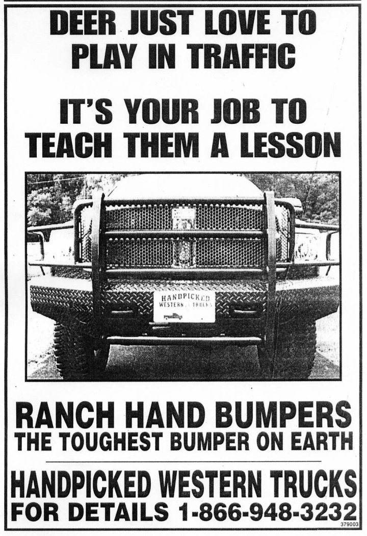 awww.handpickedtrucks.com_images_ranch_hand_deer_just_love_to_play_in_traffic.jpg