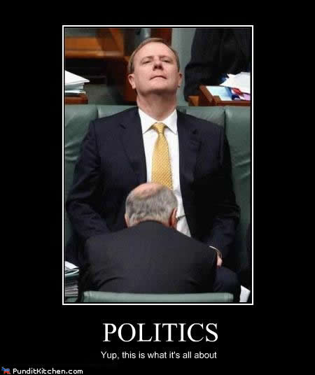 awww.inquisitr.com_wp_content_politics_explained.jpg