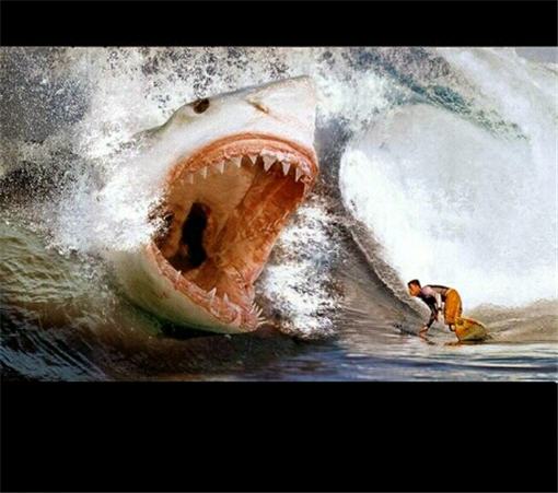 awww.jawshark.com_photos_Megalodohmy.jpg